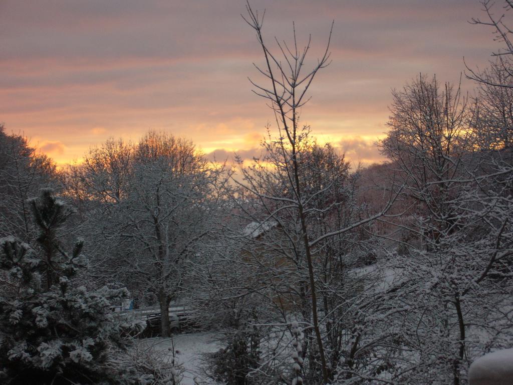 Le Jardin Ombrage Bed & Breakfast Saint-Paul-d'Izeaux Luaran gambar